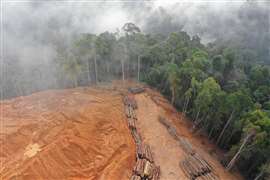 Brazil’s President Luiz Inacio Lula da Silva has committed his government to finishing the BR-319 road through the Amazon rainforest in Brazil 